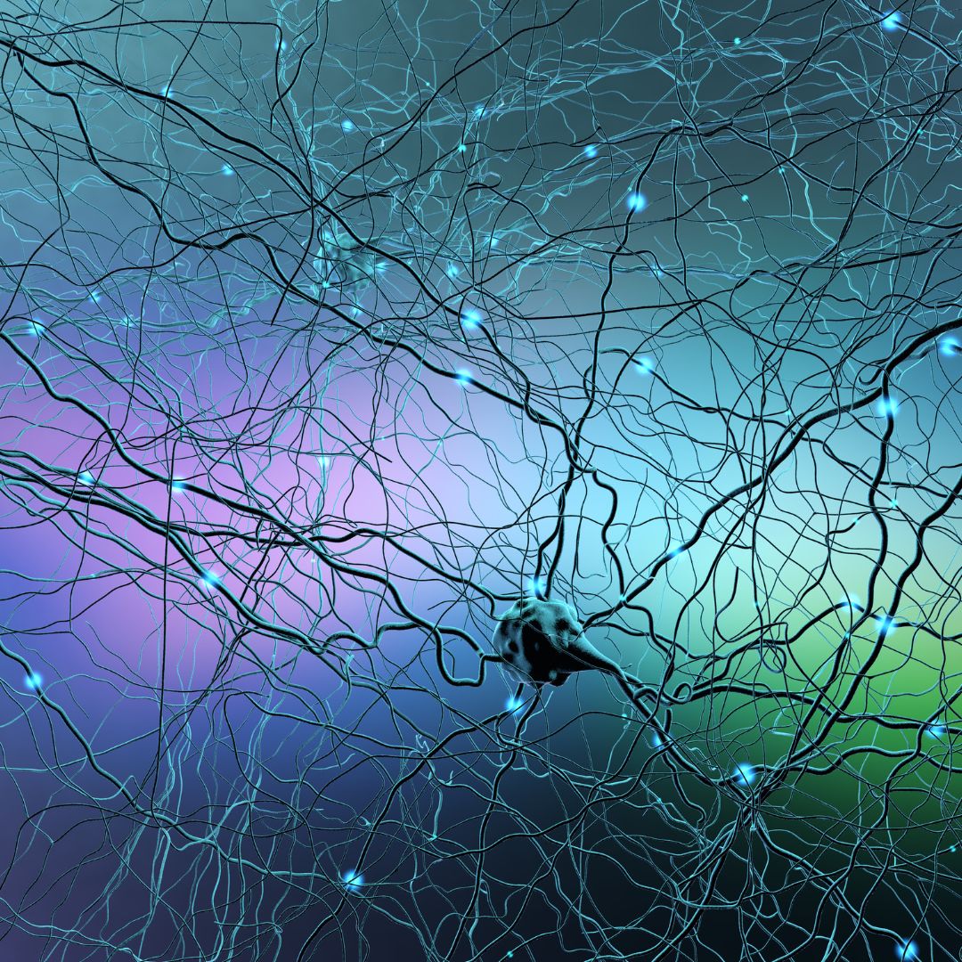 Calma Neuron O que é o Complexo Neuro Calmante presente no Sérum Calm Skin Therapy?