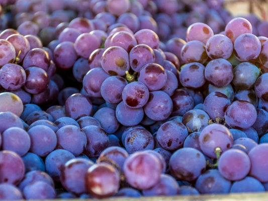 Desvendando o Resveratrol: O Antioxidante do Vinho que Transforma sua Pele