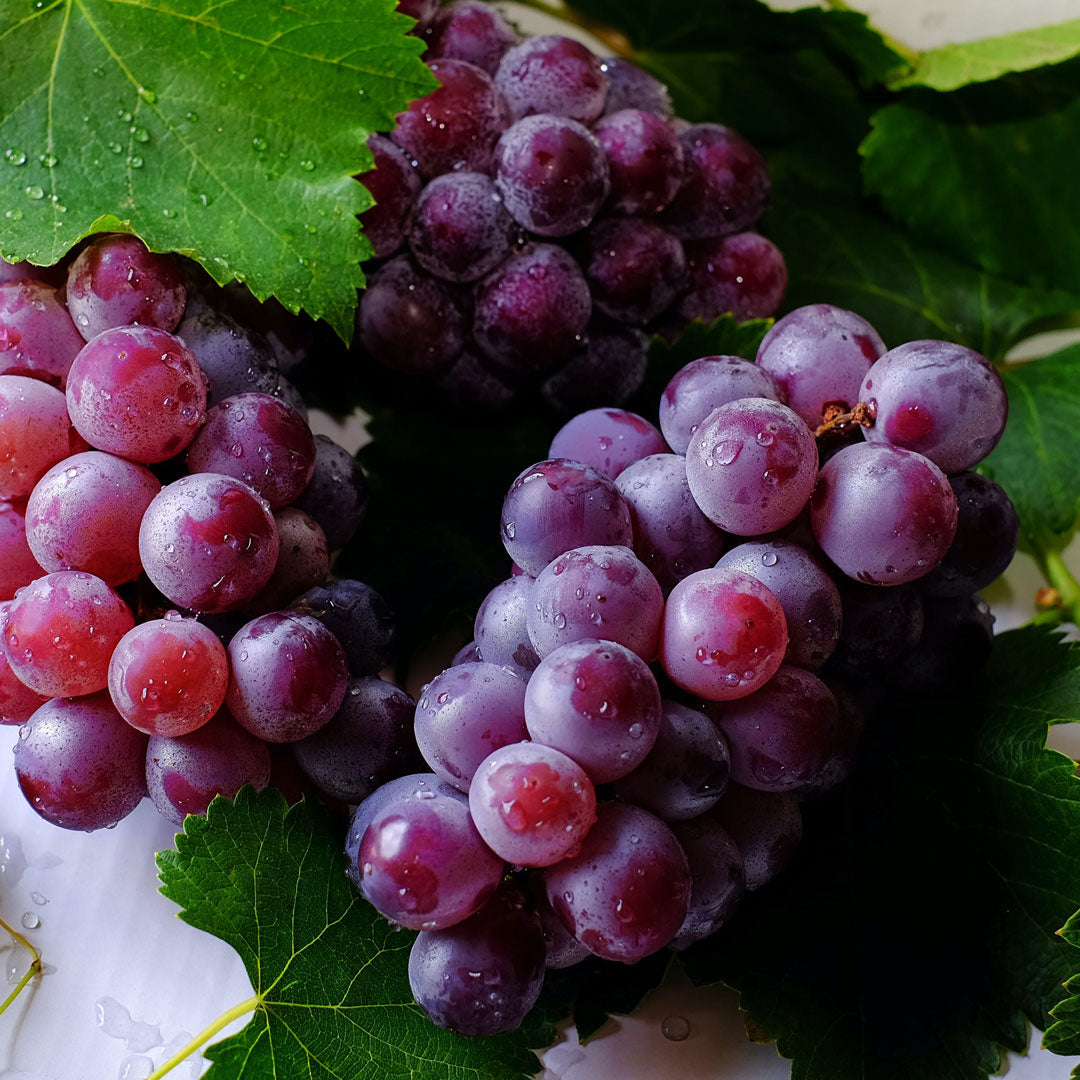 Desvendando os Segredos do Resveratrol: O Antioxidante Poderoso para uma Pele Radiante